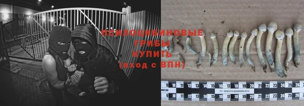 эйфоретик Арсеньев