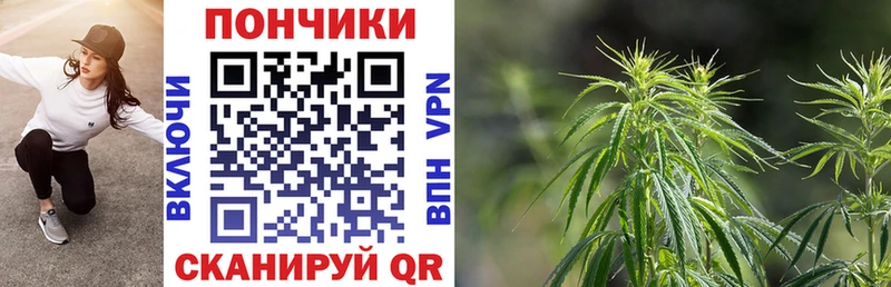 Каннабис Bruce Banner  Купить закладки  Нижние Серги 
